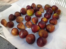 hi2015.10.3 3.jpg